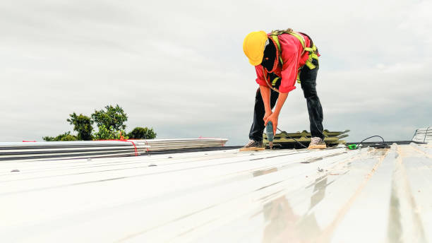 Best Skylight Installation and Repair  in Lexington, SC