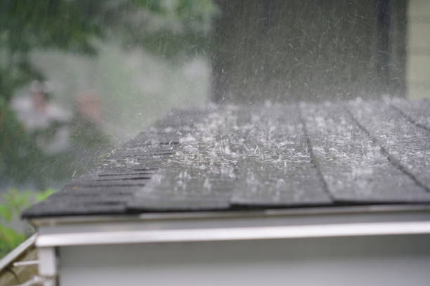 Best Metal Roofing Installation  in Lexington, SC