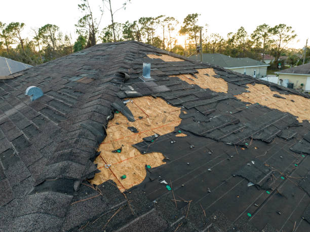 Best Commercial Roofing Services  in Lexington, SC