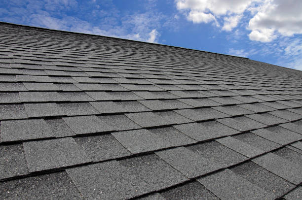 Best Roof Ventilation Installation  in Lexington, SC