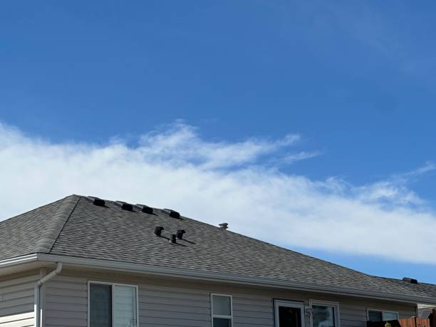Best Metal Roofing Installation  in Lexington, SC